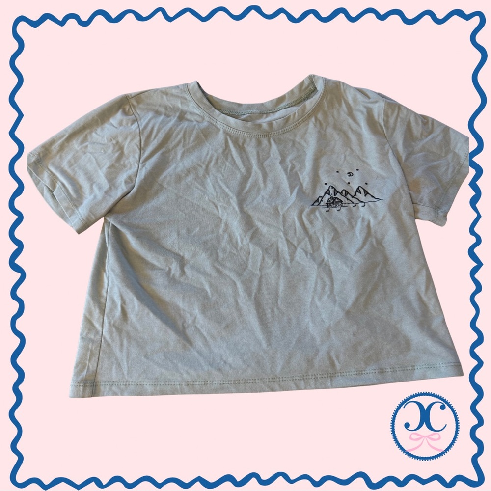 Embroidered Crop T Shirt